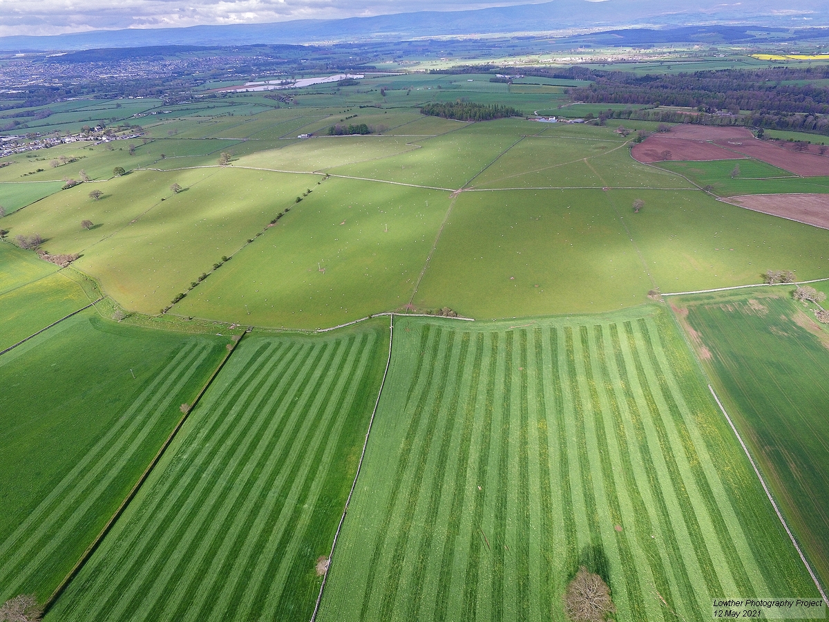 DCIM\100MEDIA\DJI_0011.JPG