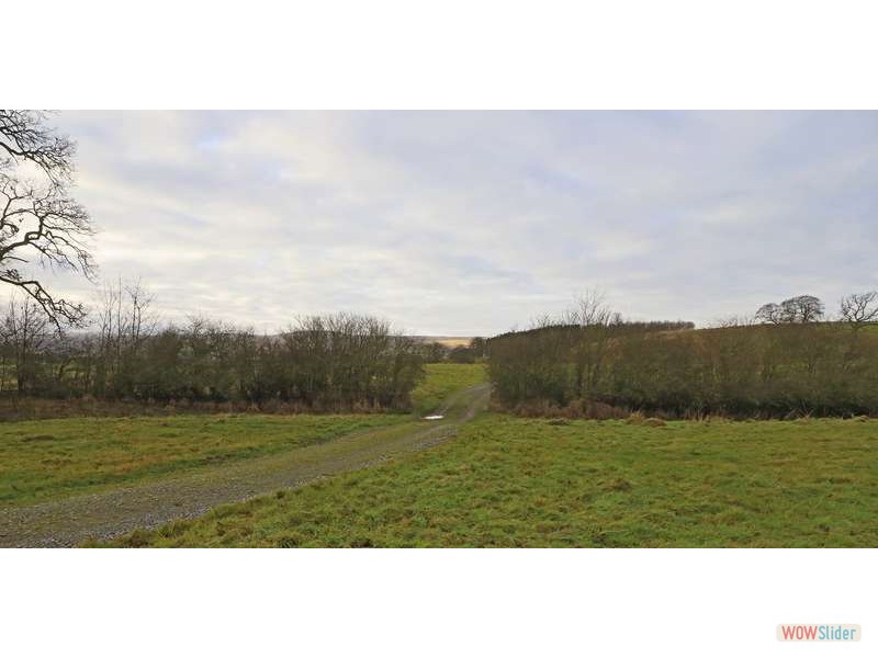 Lowther Project 29315s 