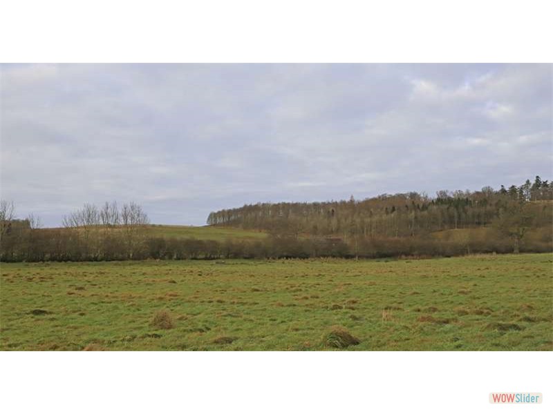 Lowther Project 29317s 