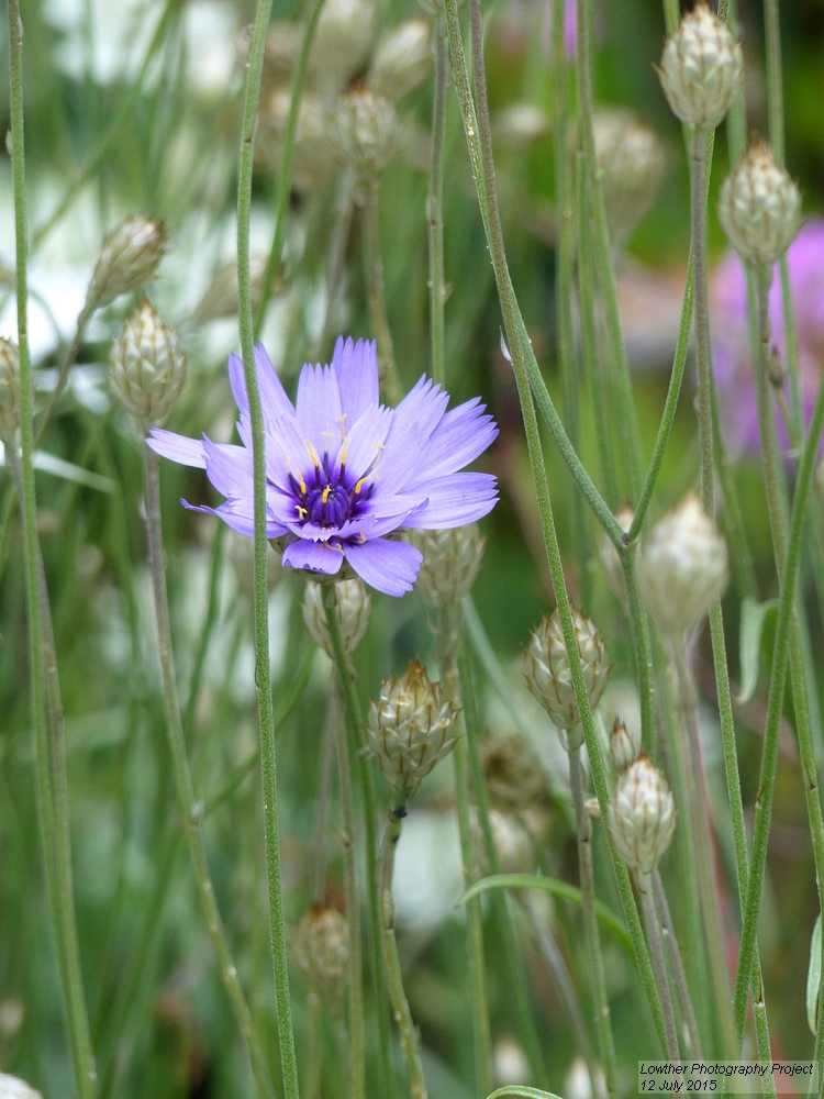 NGS Kirkby stephen