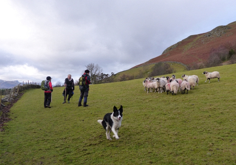 Threlkeld and Blencathra