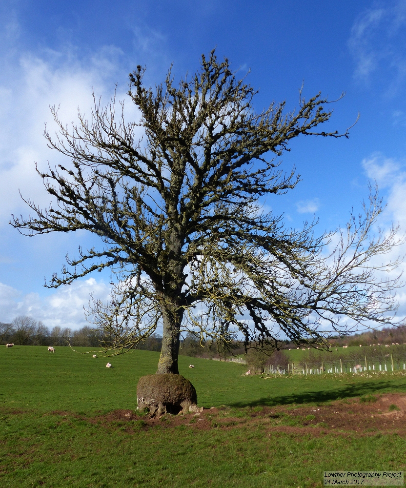 long meg stone circle