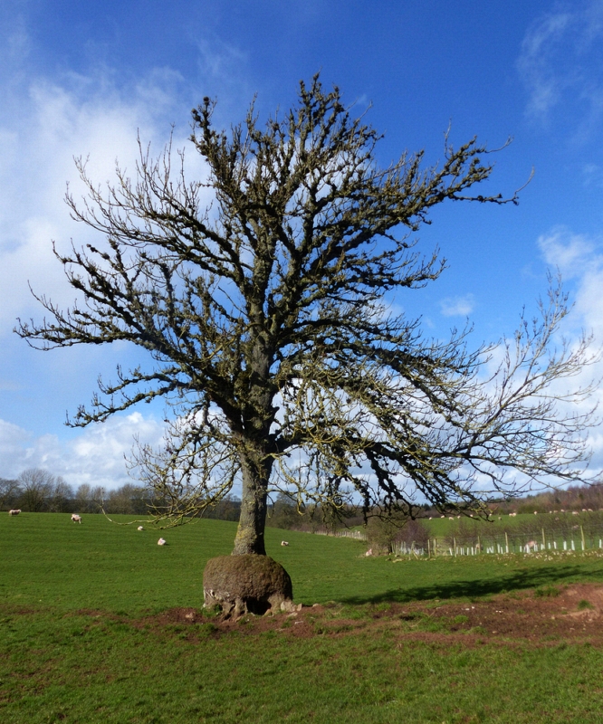 long meg stone circle