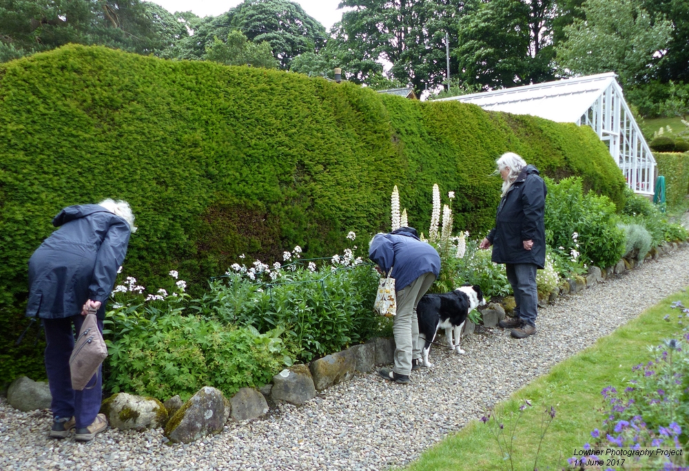 The Yews near Bowness