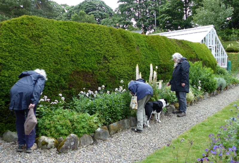 The Yews near Bowness