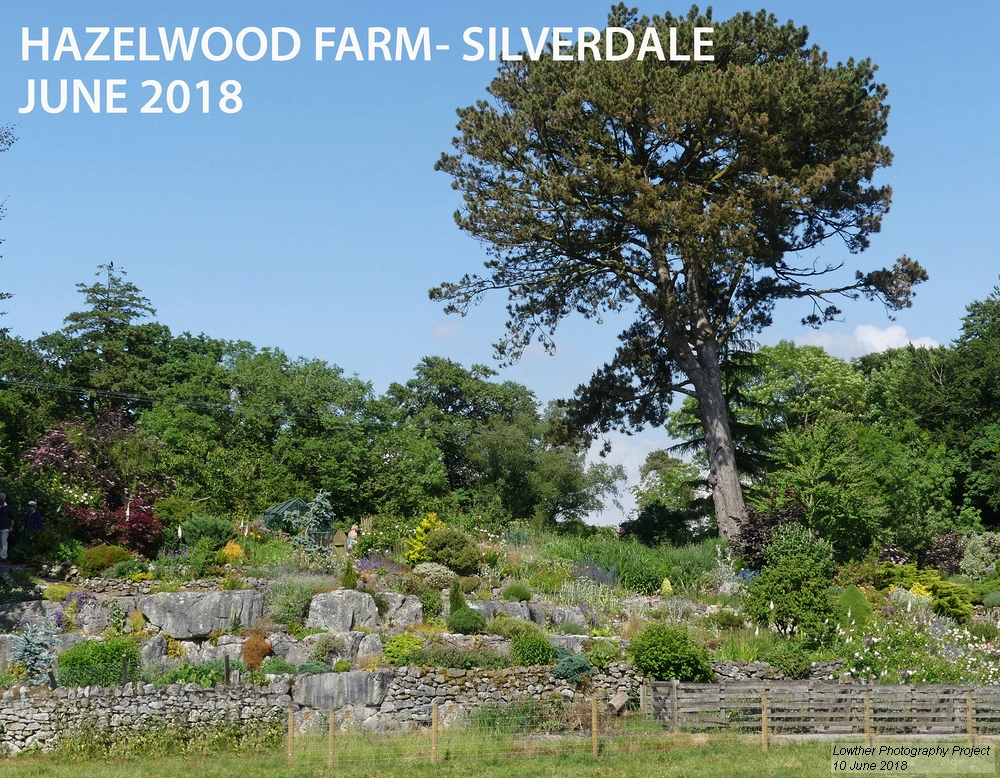hazelwood farm Silverdale
