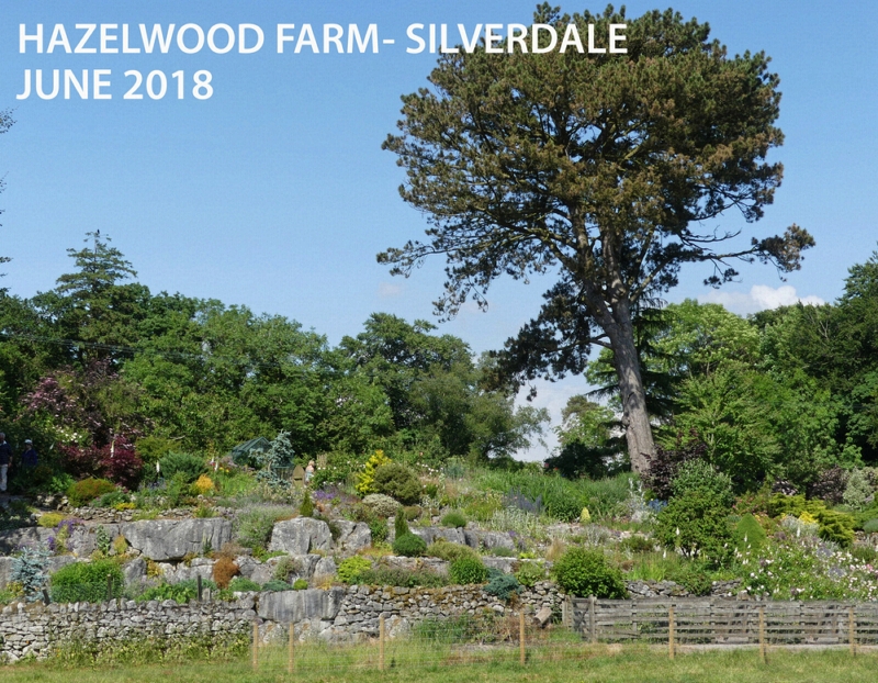 hazelwood farm Silverdale