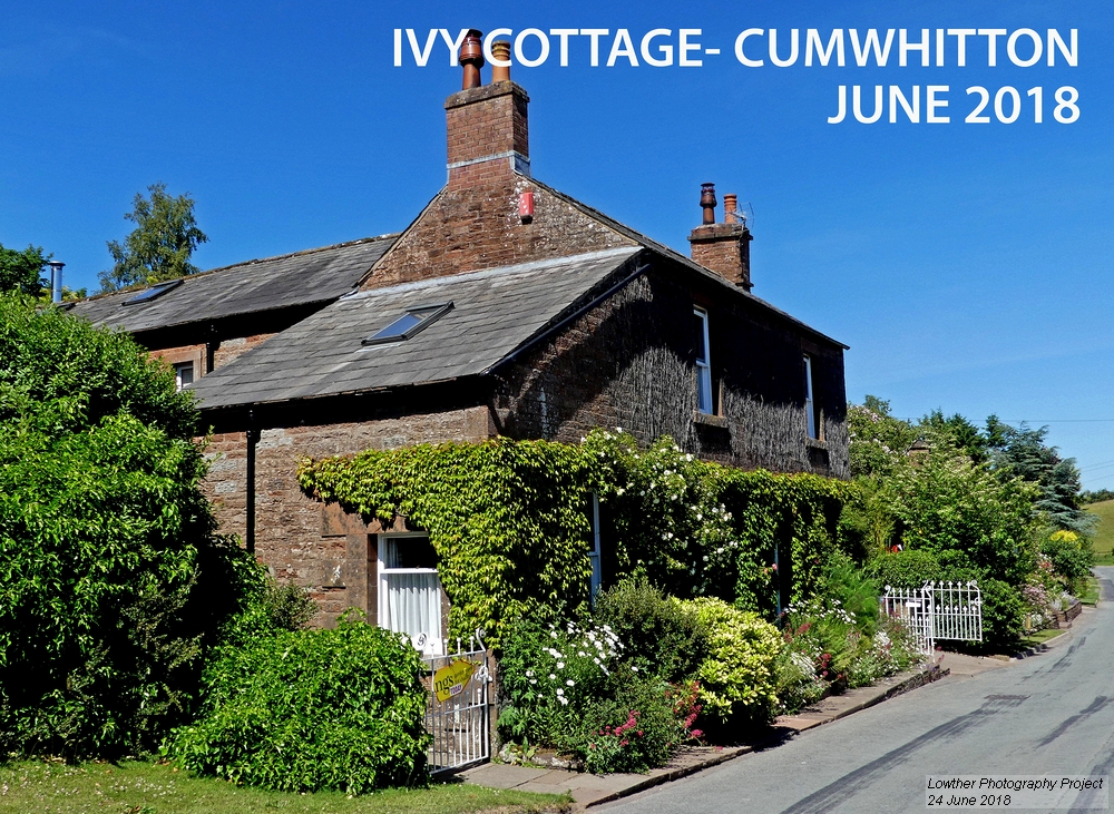 ivy cottage Cumwhitton