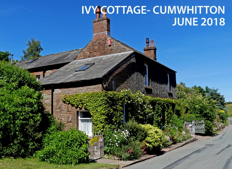 ivy cottage Cumwhitton