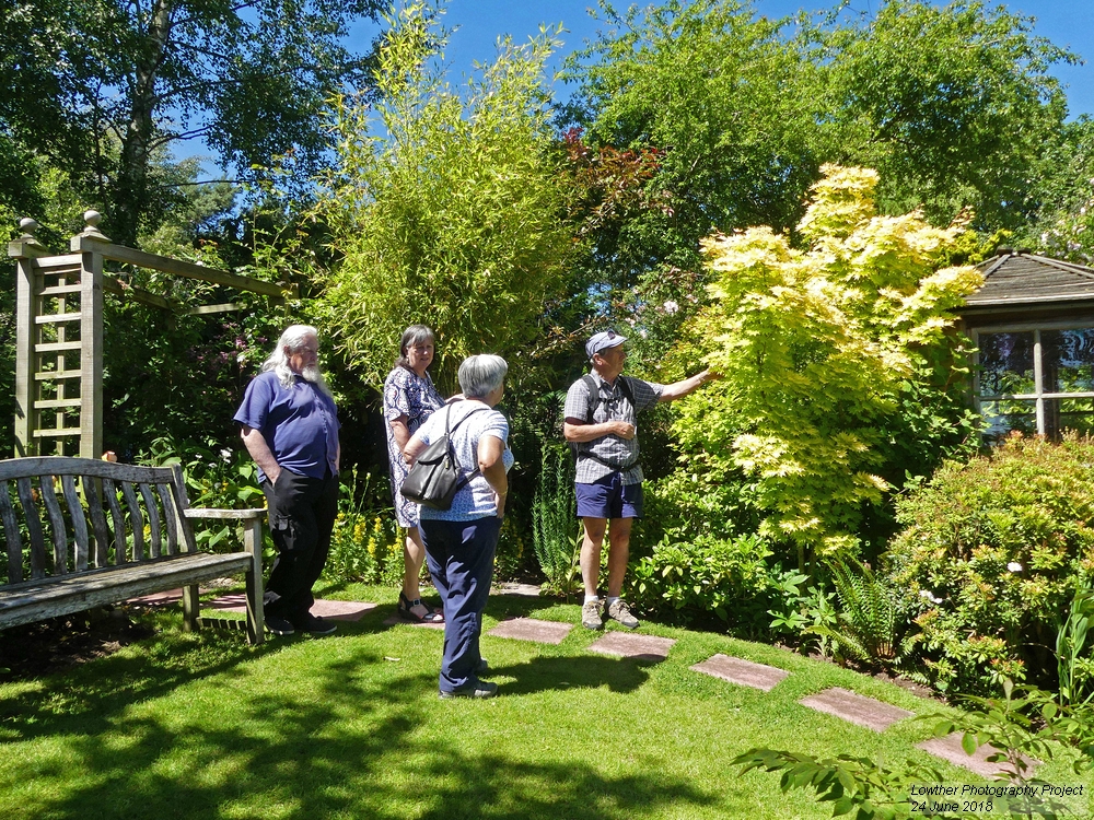 ivy cottage Cumwhitton