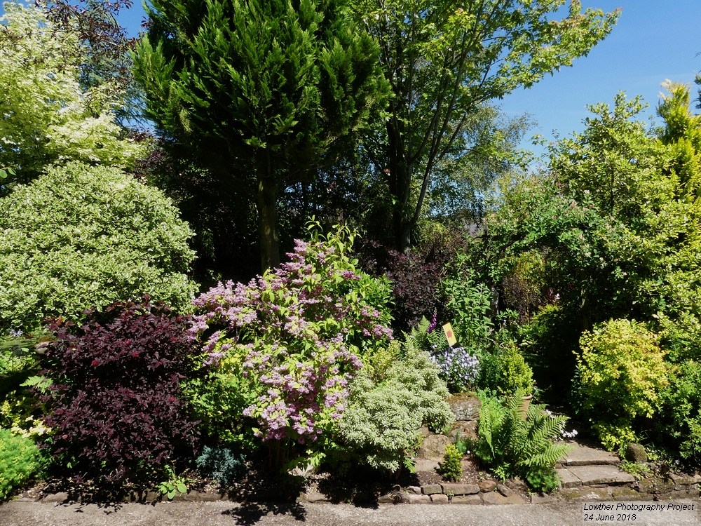 ivy cottage Cumwhitton