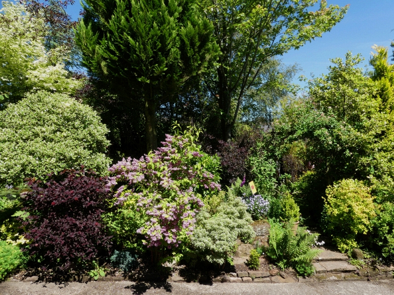 ivy cottage Cumwhitton