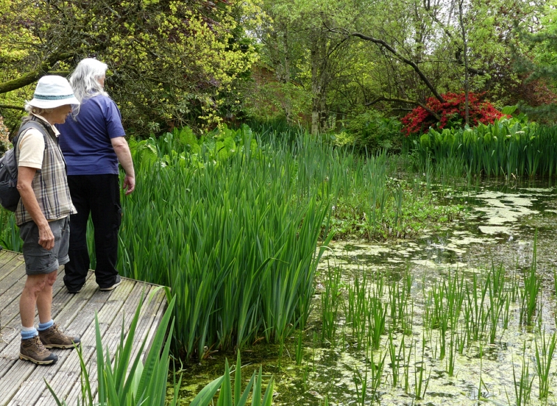 Mirefoot gardens