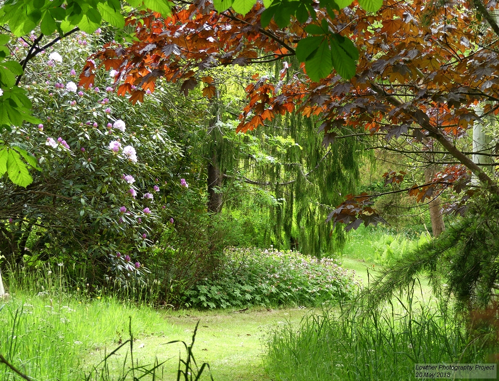 Mirefoot gardens